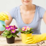 botella-de-spray-no-funciona-3-razones-y-haz-esto-primero