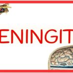 Señales y síntomas para detectar una posible fuga de líquido cefalorraquídeo senales-y-sintomas-para-detectar-una-posible-fuga-de-liquido-cefalorraquideo